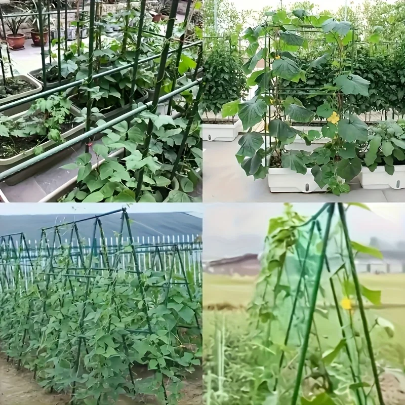 New Garden plant set (22 support rods+11 connectors) for tomato, cucumber, and grape plants, plastic coated rods H0983
New Garden plant set (22 support rods+11 connectors) for tomato, cucumber, and grape plants, plastic coated rods H0983