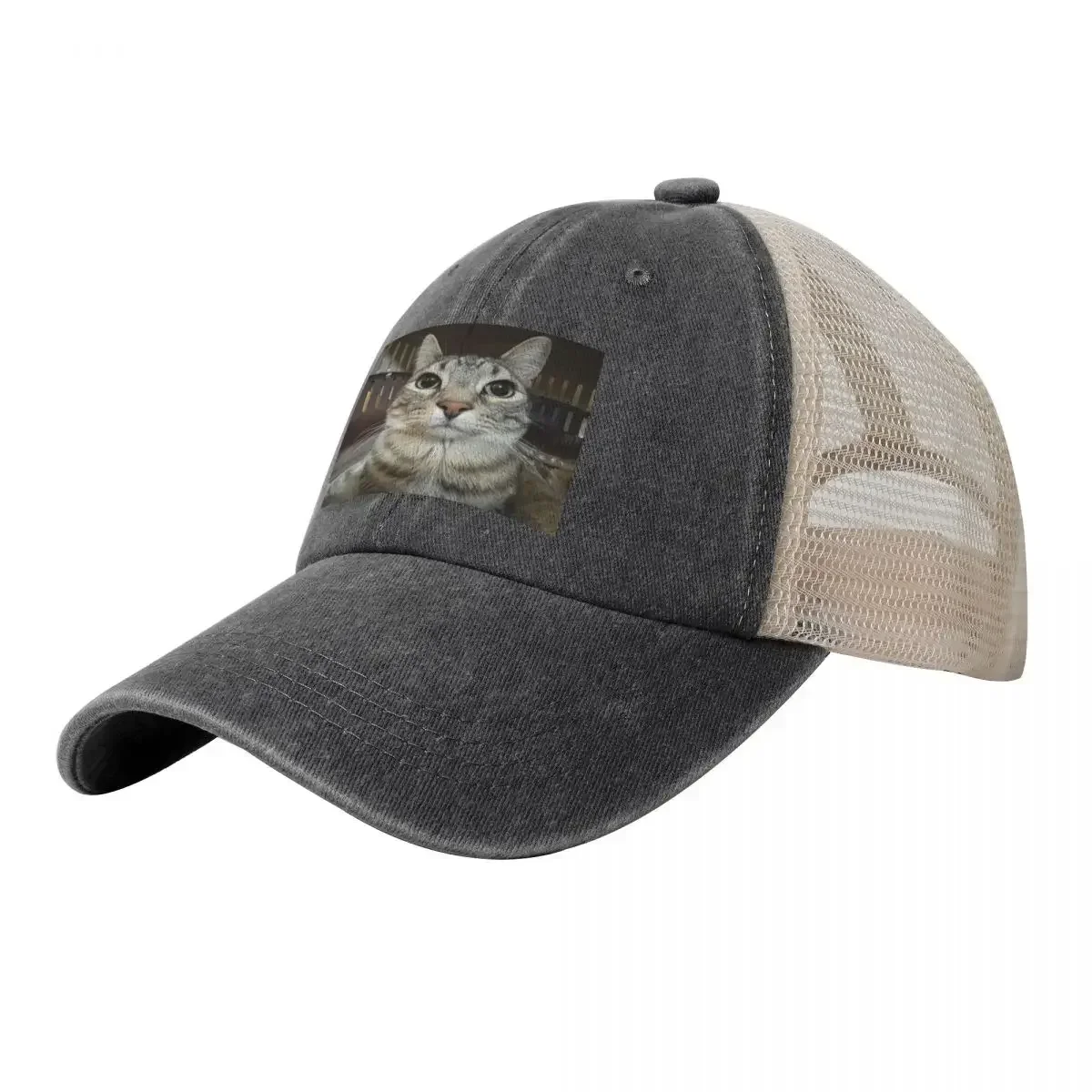 Бейсбольная кепка Cat Looking Direct At You, шляпа Beach Rave Man Golf, женская и мужская
Бейсбольная кепка Cat Looking Direct At You, шляпа Beach Rave Man Golf, женская и мужская