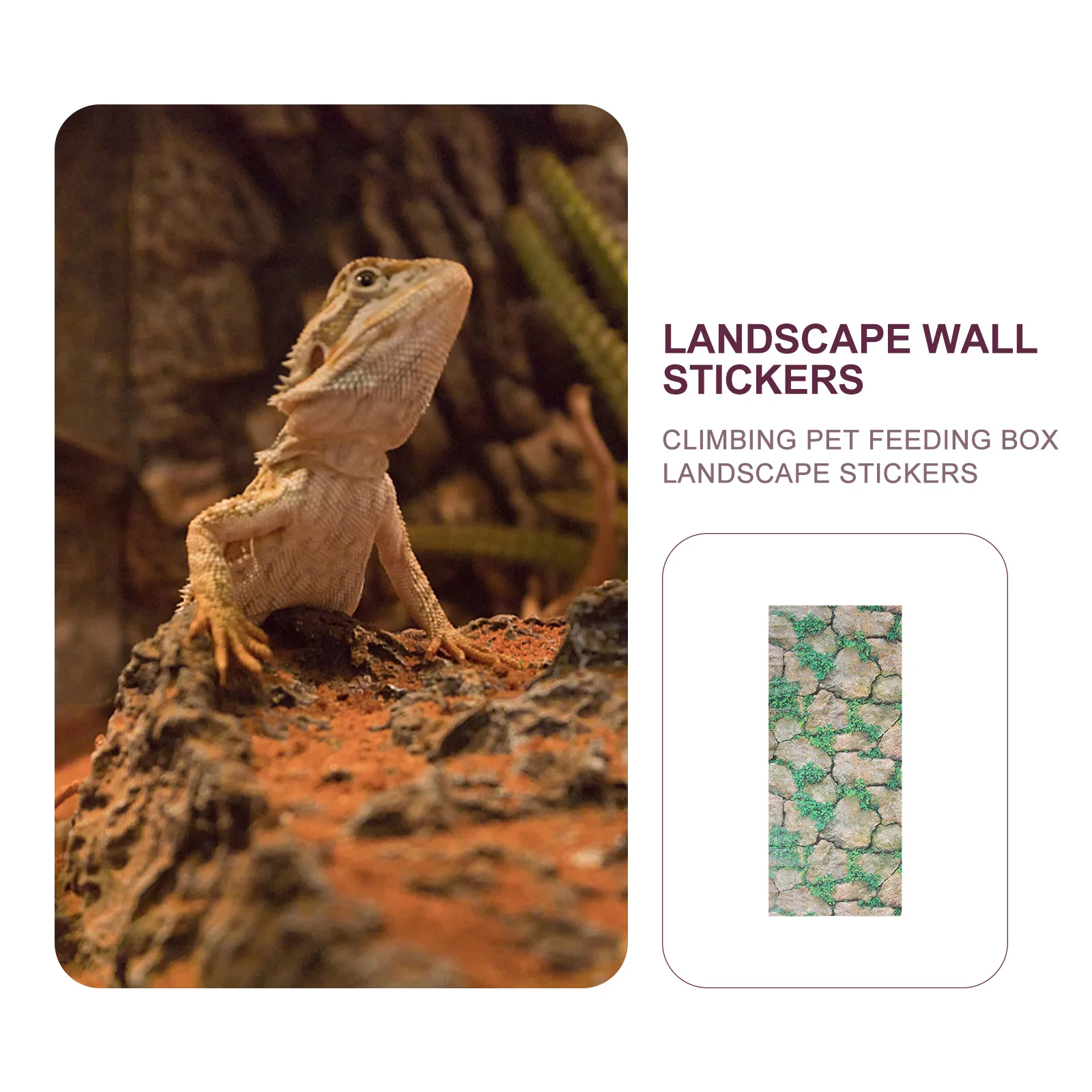 Rocks Sticker Reptile Tank Background Thickened Decoration Paper Safe No Fade Easy Attach Creative Vivid Pattern
Rocks Sticker Reptile Tank Background Thickened Decoration Paper Safe No Fade Easy Attach Creative Vivid Pattern