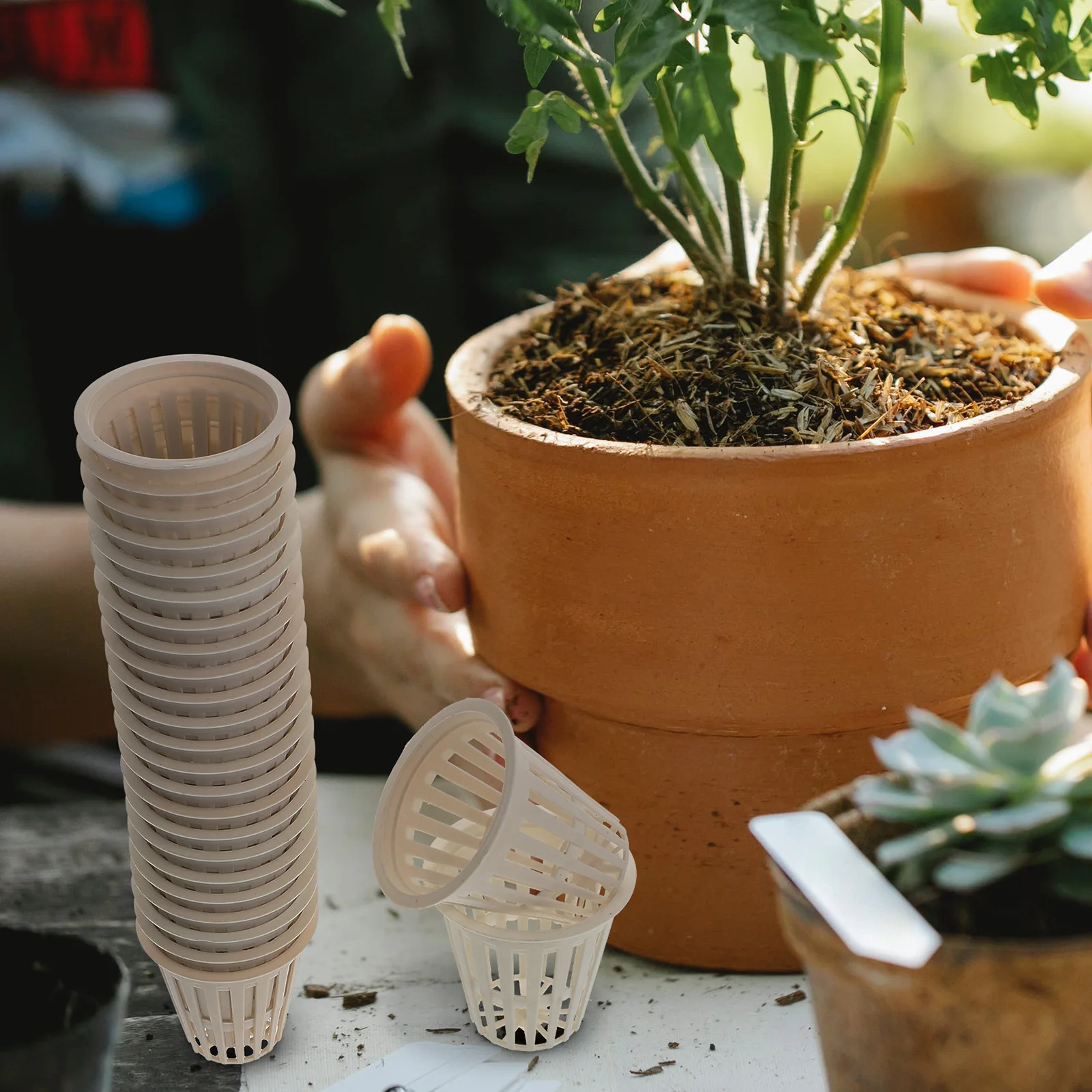 50 Pcs Hydroponic Planting Baskets Plastic Mesh Basket for Indoor Plants Growing Promote Roots Growth Suitable Orchids Tomato
50 Pcs Hydroponic Planting Baskets Plastic Mesh Basket for Indoor Plants Growing Promote Roots Growth Suitable Orchids Tomato