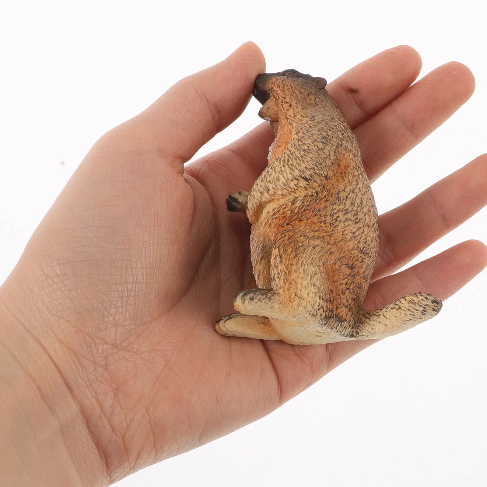 Standing Groundhog Wild Animal Simulation Cognitive Growth for Kids Realistic Animal Ornament Desktop Room Office Decor
Standing Groundhog Wild Animal Simulation Cognitive Growth for Kids Realistic Animal Ornament Desktop Room Office Decor