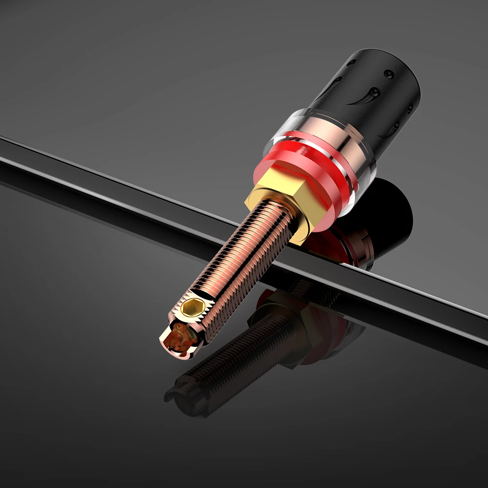 Viborg 24K Gold-Plated BFA Banana Plugs (12-Pack), Hi-Fi Speaker Connectors with Wave-Cut Pins
Viborg 24K Gold-Plated BFA Banana Plugs (12-Pack), Hi-Fi Speaker Connectors with Wave-Cut Pins
