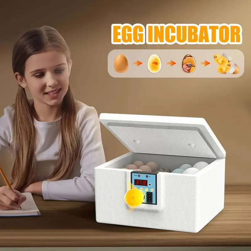 Egg Incubator Quail Incubator Box With Candling Temperature Control Incubation Box For Home Breeding Chicken Ducks Quail
Egg Incubator Quail Incubator Box With Candling Temperature Control Incubation Box For Home Breeding Chicken Ducks Quail