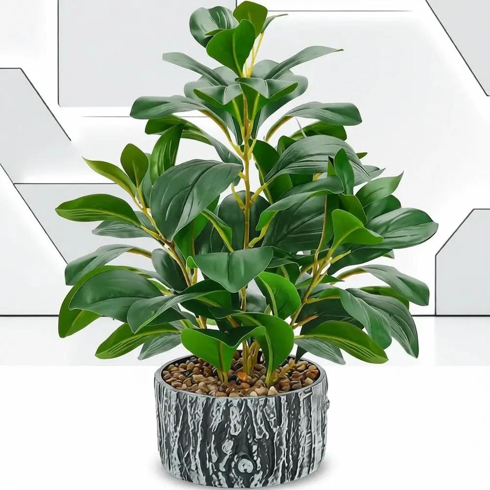 15.7 Inch Artificial Money Tree Plant for Indoor, Office, Bedroom Decor
15.7 Inch Artificial Money Tree Plant for Indoor, Office, Bedroom Decor