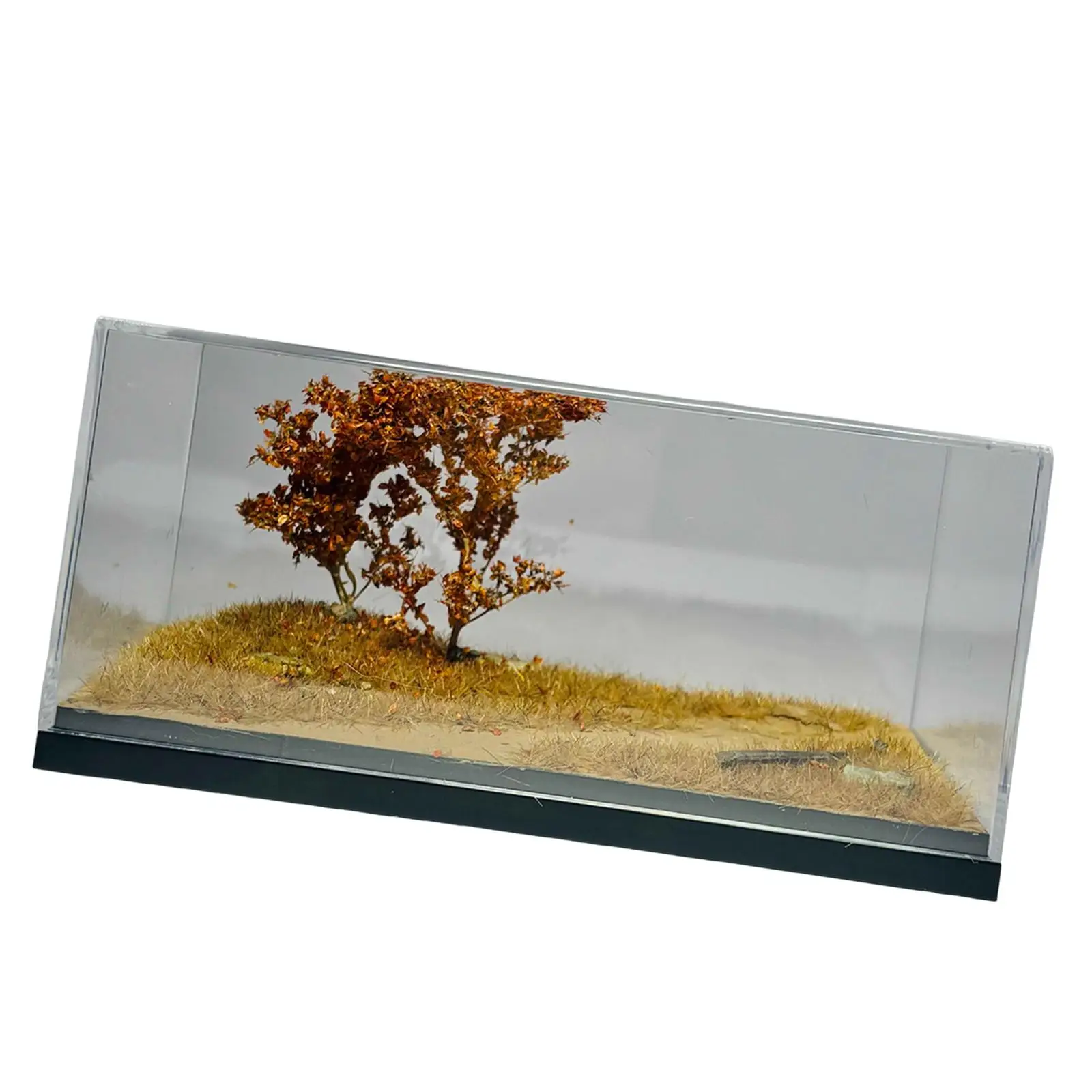 1/64 Display Case for Model Car,Collectible Dustproof Creative Toy Car Storage Organizer
1/64 Display Case for Model Car,Collectible Dustproof Creative Toy Car Storage Organizer