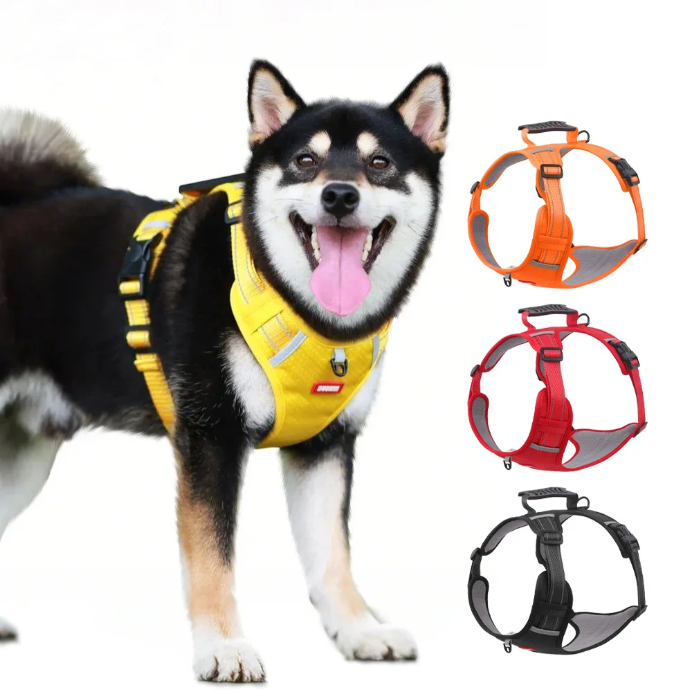 dog leash and harness harness for a medium dog
dog leash and harness harness for a medium dog