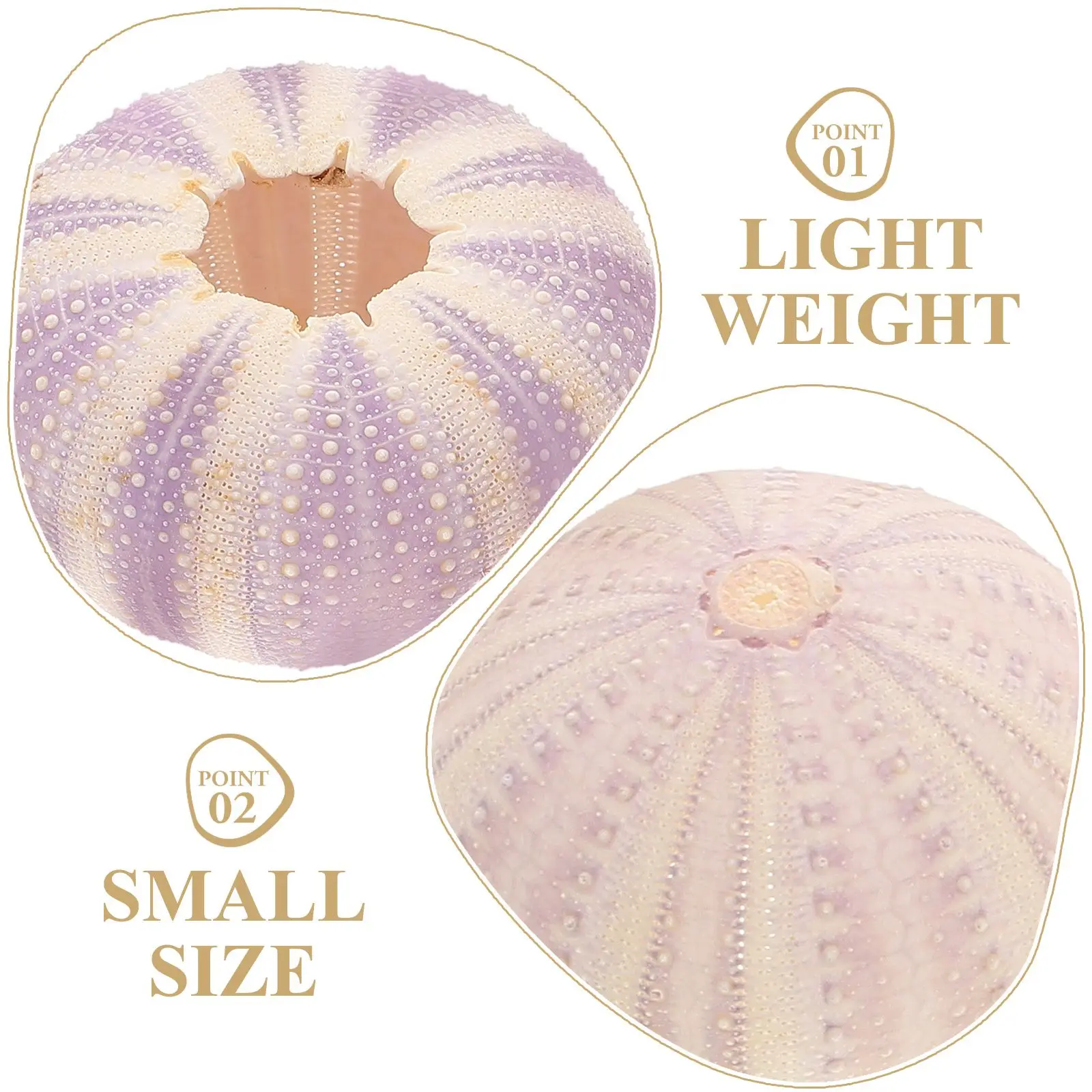 3 Pcs Sea Urchin Shells Dried Small Pot Desktop Decor Air Holder Bright Color Shell nament
3 Pcs Sea Urchin Shells Dried Small Pot Desktop Decor Air Holder Bright Color Shell nament