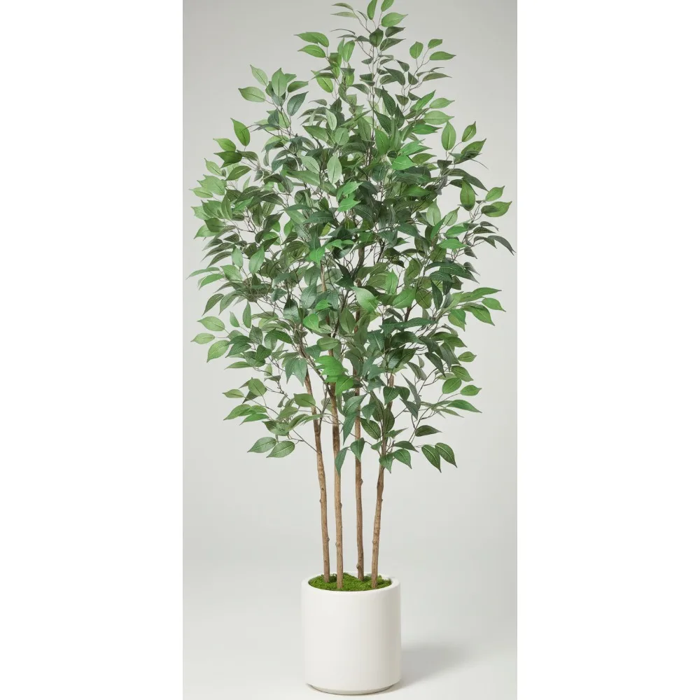 6ft Artificial Ficus Tree Fake Silk Plant for Home Office Decor Indoor Floor Plant in White Pot with Green Moss
6ft Artificial Ficus Tree Fake Silk Plant for Home Office Decor Indoor Floor Plant in White Pot with Green Moss