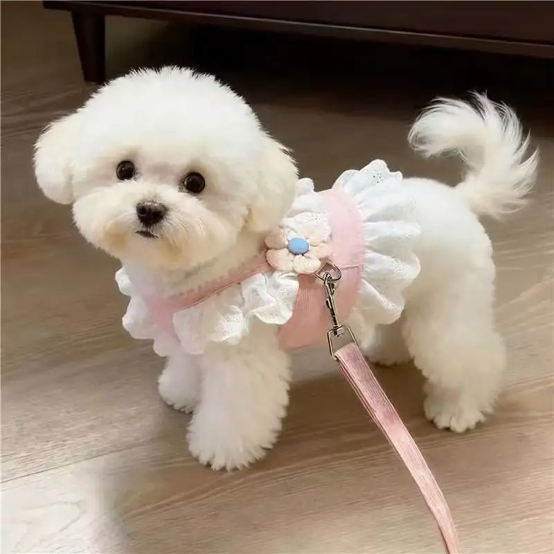Dog Supplies Pet Harness Leash Princess Cat Dress Costumes Nylon Kittten Dress Puppy Harness for Rabbit Teddy Cats Clothes
Dog Supplies Pet Harness Leash Princess Cat Dress Costumes Nylon Kittten Dress Puppy Harness for Rabbit Teddy Cats Clothes