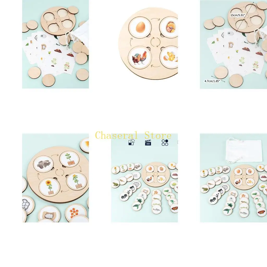 E7CE Teaching Aids Puzzles Toy Homeschool Science Puzzles
E7CE Teaching Aids Puzzles Toy Homeschool Science Puzzles