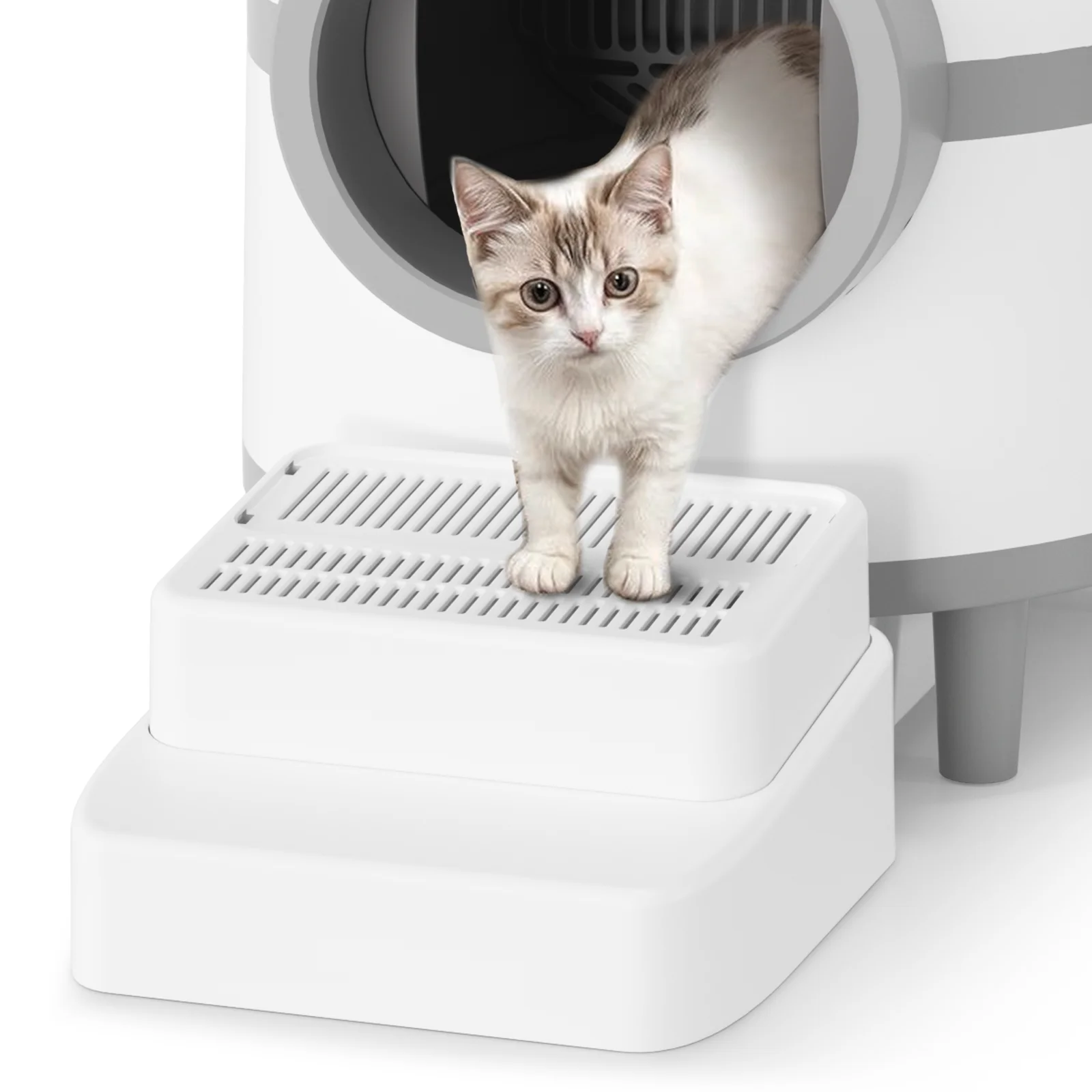 Adjustable 3 Steps Litter Box Ramp with Filter Function Detachable Litter Trapper Easy Clean Cat Litter Stair for Small Elderly
Adjustable 3 Steps Litter Box Ramp with Filter Function Detachable Litter Trapper Easy Clean Cat Litter Stair for Small Elderly