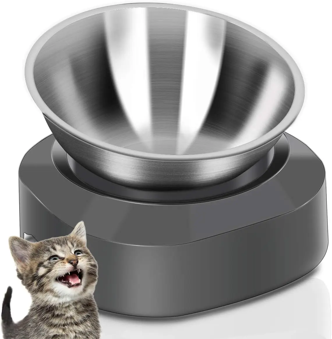 Elevated Cat Food Bowl, Stainless Steel Anti Vomiting Stand, 15° Tilted Design for Easy Eating
Elevated Cat Food Bowl, Stainless Steel Anti Vomiting Stand, 15° Tilted Design for Easy Eating