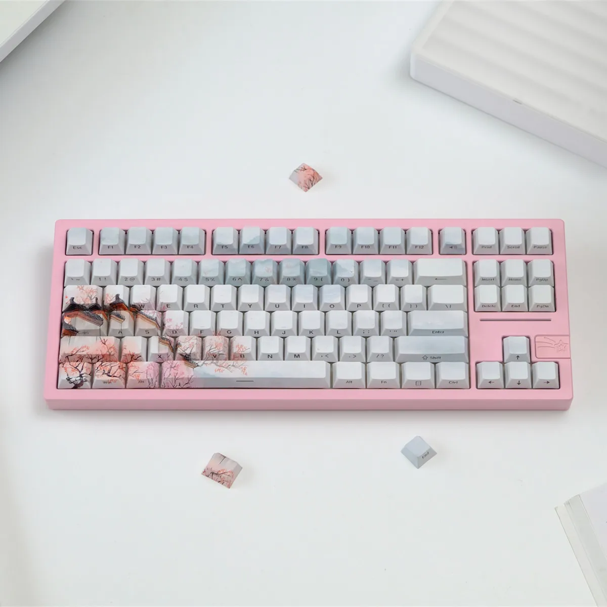 130 Keys Apricot Blossom Theme Side-lit Shine Through Keycaps Dye Sub PBT Key Cap Cherry Profile for MX Switches Gaming Keyboard
130 Keys Apricot Blossom Theme Side-lit Shine Through Keycaps Dye Sub PBT Key Cap Cherry Profile for MX Switches Gaming Keyboard