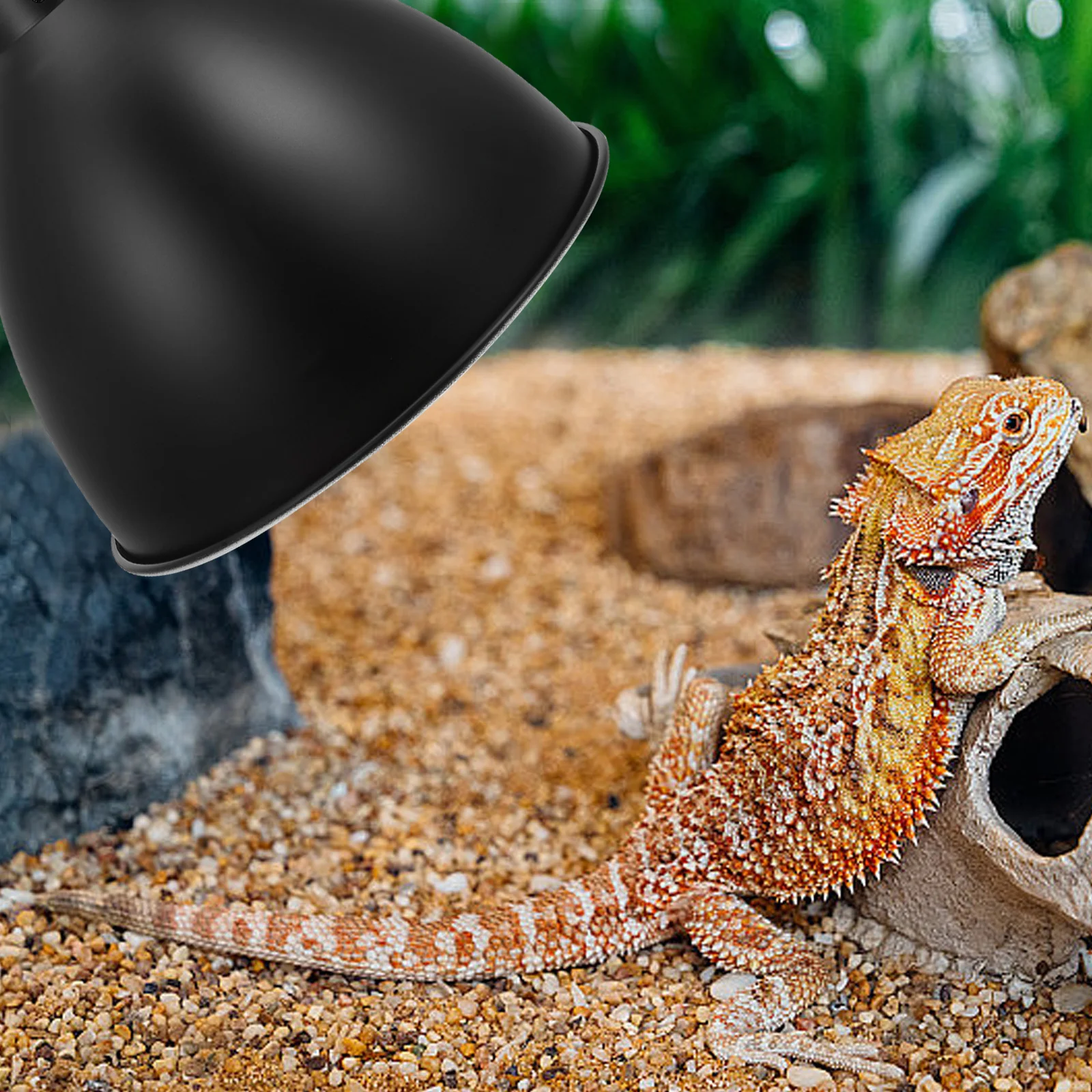 Reptile Heat Lamp Shade Iron Reflector Dome Protector for Lizards Snakes Turtles Energy Saving Insulation Cover
Reptile Heat Lamp Shade Iron Reflector Dome Protector for Lizards Snakes Turtles Energy Saving Insulation Cover