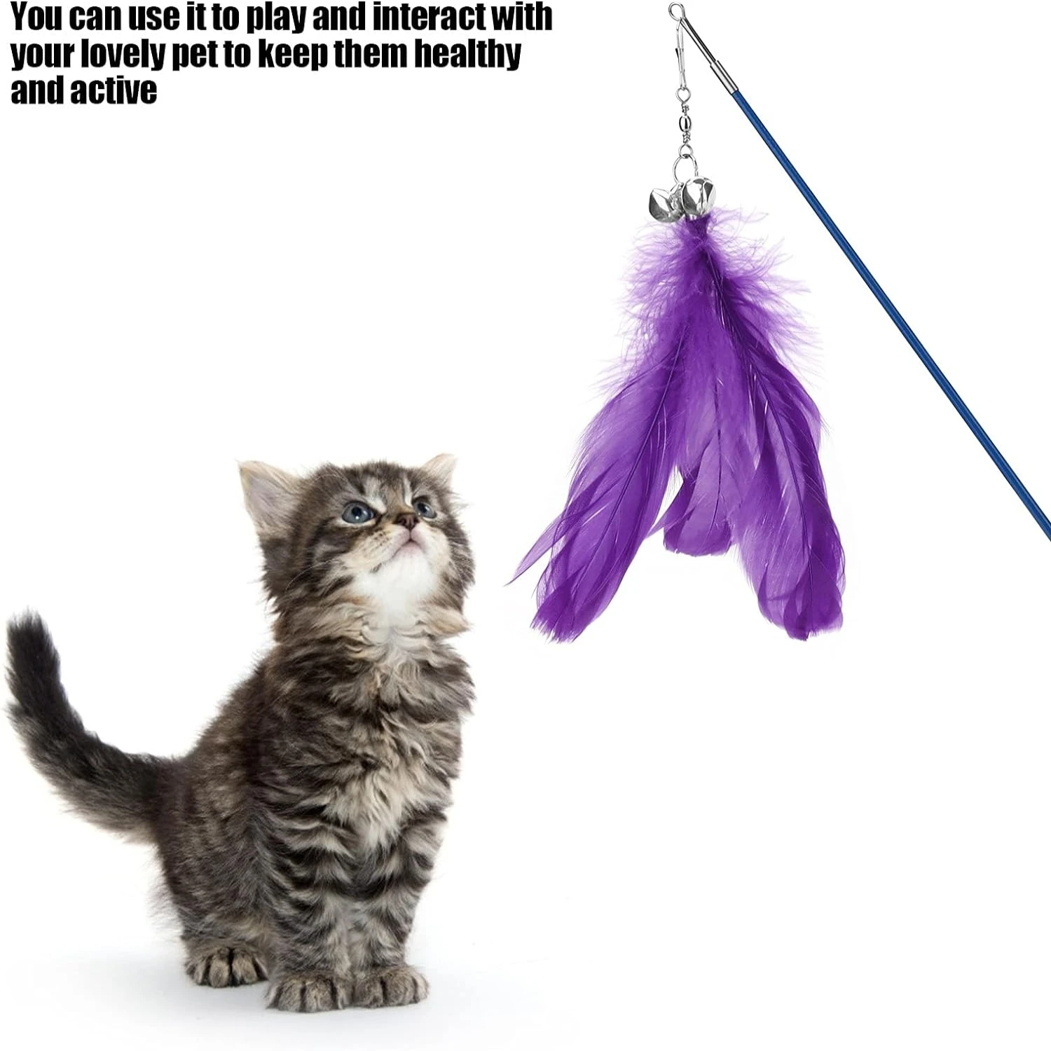 Energetic, Active, and Stimulating Cat Toy Set - Engaging Black Feather Interactive Wand Toy for Hours of Playful Exercise - Fun
Energetic, Active, and Stimulating Cat Toy Set - Engaging Black Feather Interactive Wand Toy for Hours of Playful Exercise - Fun