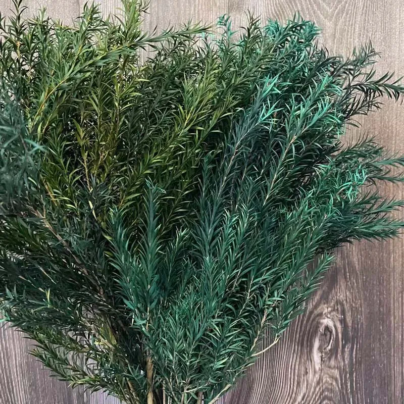 Букет искусственных сушеных цветов Melaleuca, натуральные цветы, домашний декор, Рождественское украшение, свадебный подарок, 70 г/Букет
Букет искусственных сушеных цветов Melaleuca, натуральные цветы, домашний декор, Рождественское украшение, свадебный подарок, 70 г/Букет