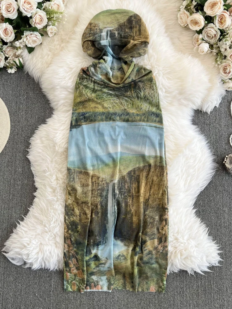 Foamlina 2024 New Chic Summer Print Strapless Dress for Women Elegant Sleeveless Backless Slim High Waist Back Split Mesh Dress
Foamlina 2024 New Chic Summer Print Strapless Dress for Women Elegant Sleeveless Backless Slim High Waist Back Split Mesh Dress