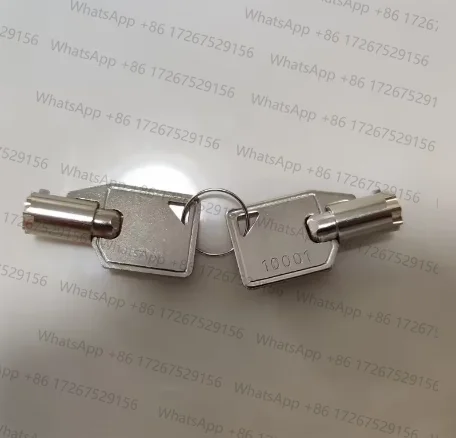 Микро-замок почтового ящика, ключ для блокировки стального шасси
Микро-замок почтового ящика, ключ для блокировки стального шасси