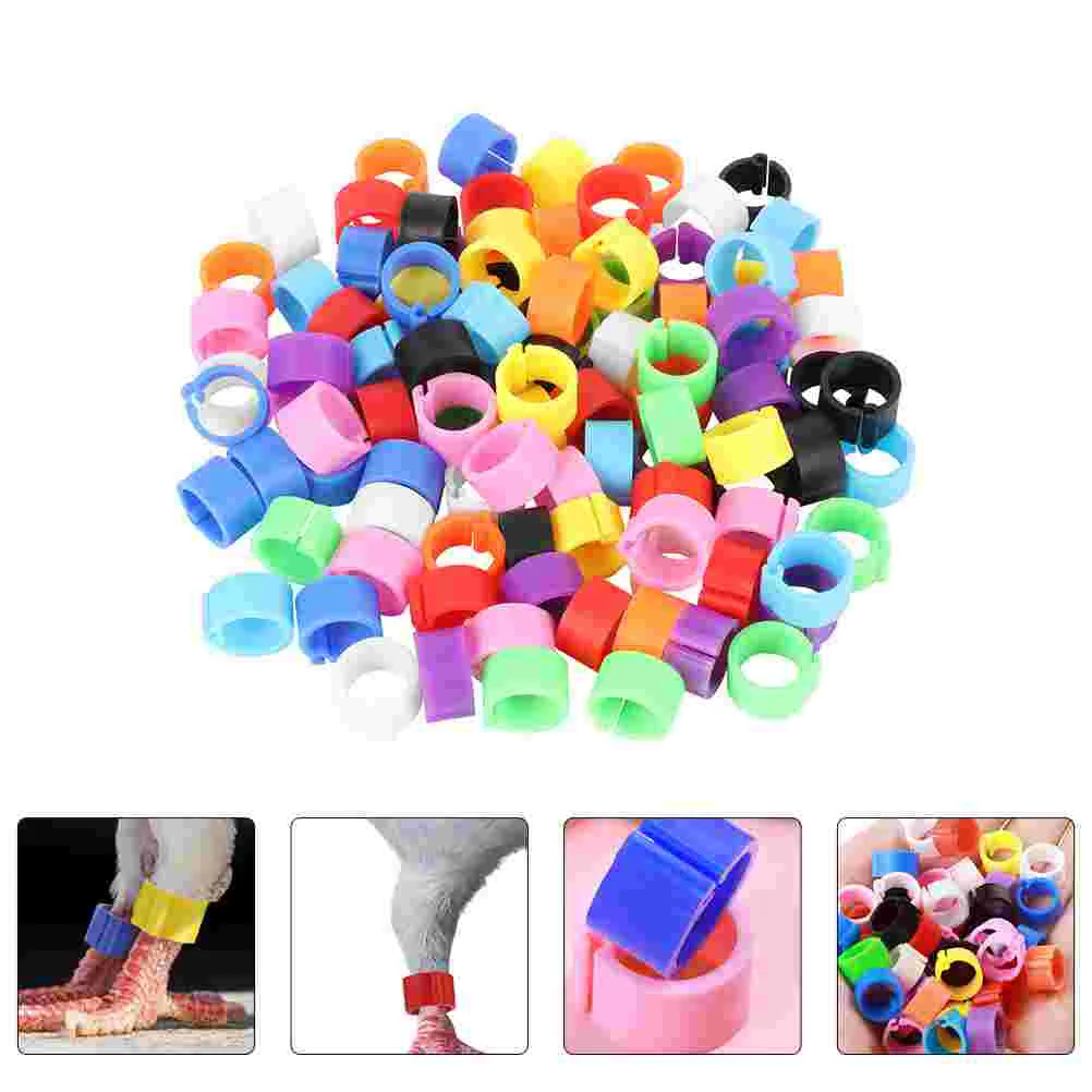 150 Pcs Ring Homing Pigeon Anklet Baby The Bird Identification Plastic Parrot Foot
150 Pcs Ring Homing Pigeon Anklet Baby The Bird Identification Plastic Parrot Foot