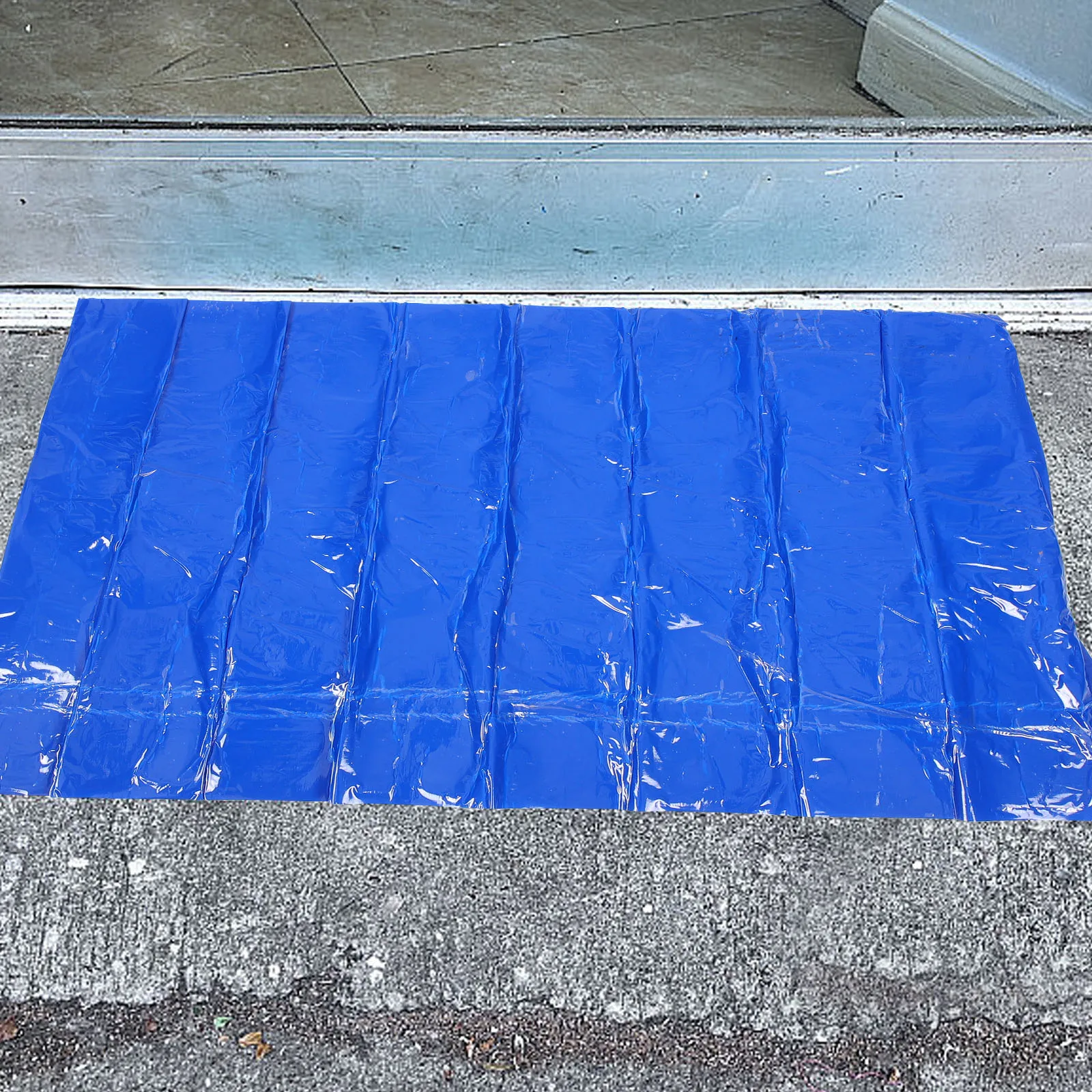 Sticky Mat Dust Entrance Door Indoor Mats Kitchen Purifying for Floor Home Washable Non-slip Back Pad
Sticky Mat Dust Entrance Door Indoor Mats Kitchen Purifying for Floor Home Washable Non-slip Back Pad