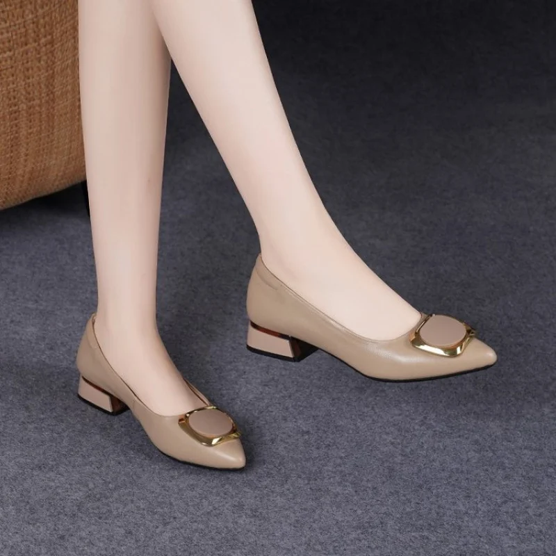 New Fashion Soft Sole Single Shoes for Women, Chunky Heel, Elegant Shallow Mouth Pointed Toe Professional Work Shoes
New Fashion Soft Sole Single Shoes for Women, Chunky Heel, Elegant Shallow Mouth Pointed Toe Professional Work Shoes