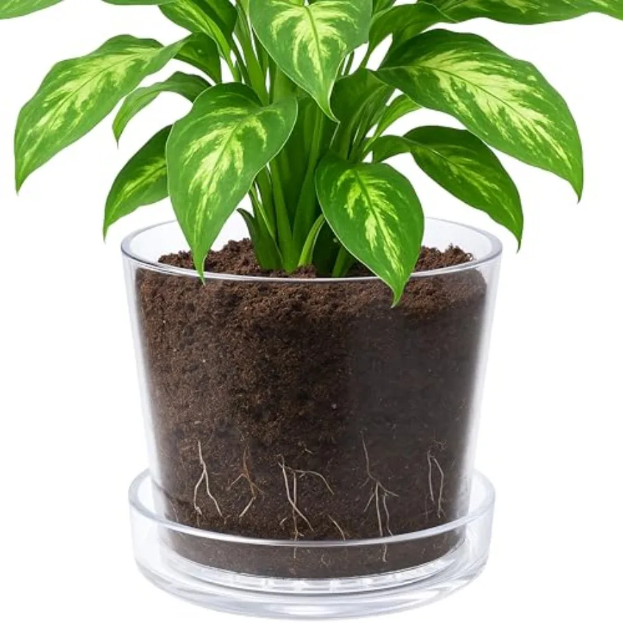 10 Inch Clear Acrylic Planter Pot with Tray Orchid Pot with Drainage Holes Deep Saucer for Bottom Watering Transparent Containe
10 Inch Clear Acrylic Planter Pot with Tray Orchid Pot with Drainage Holes Deep Saucer for Bottom Watering Transparent Containe
