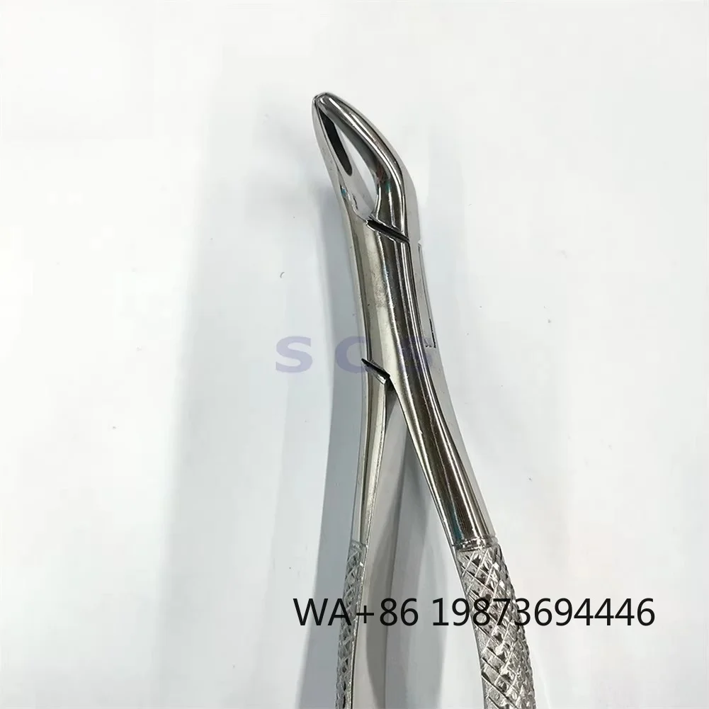 Metal Dental Extraction Forceps, High-Quality Hospital Dental Instrument Supply
Metal Dental Extraction Forceps, High-Quality Hospital Dental Instrument Supply