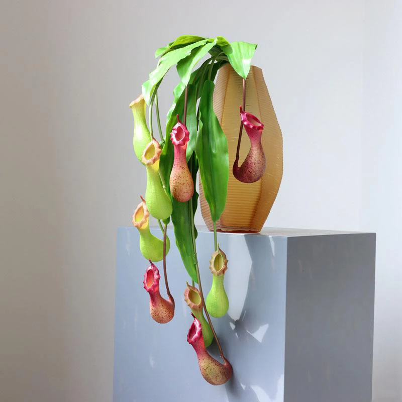 Hanging Drooping Green Plants Artificial Pitcher Plants Plastic Flytraps DIY Flower Arrangement Hanging Decoration in Courtyard
Hanging Drooping Green Plants Artificial Pitcher Plants Plastic Flytraps DIY Flower Arrangement Hanging Decoration in Courtyard