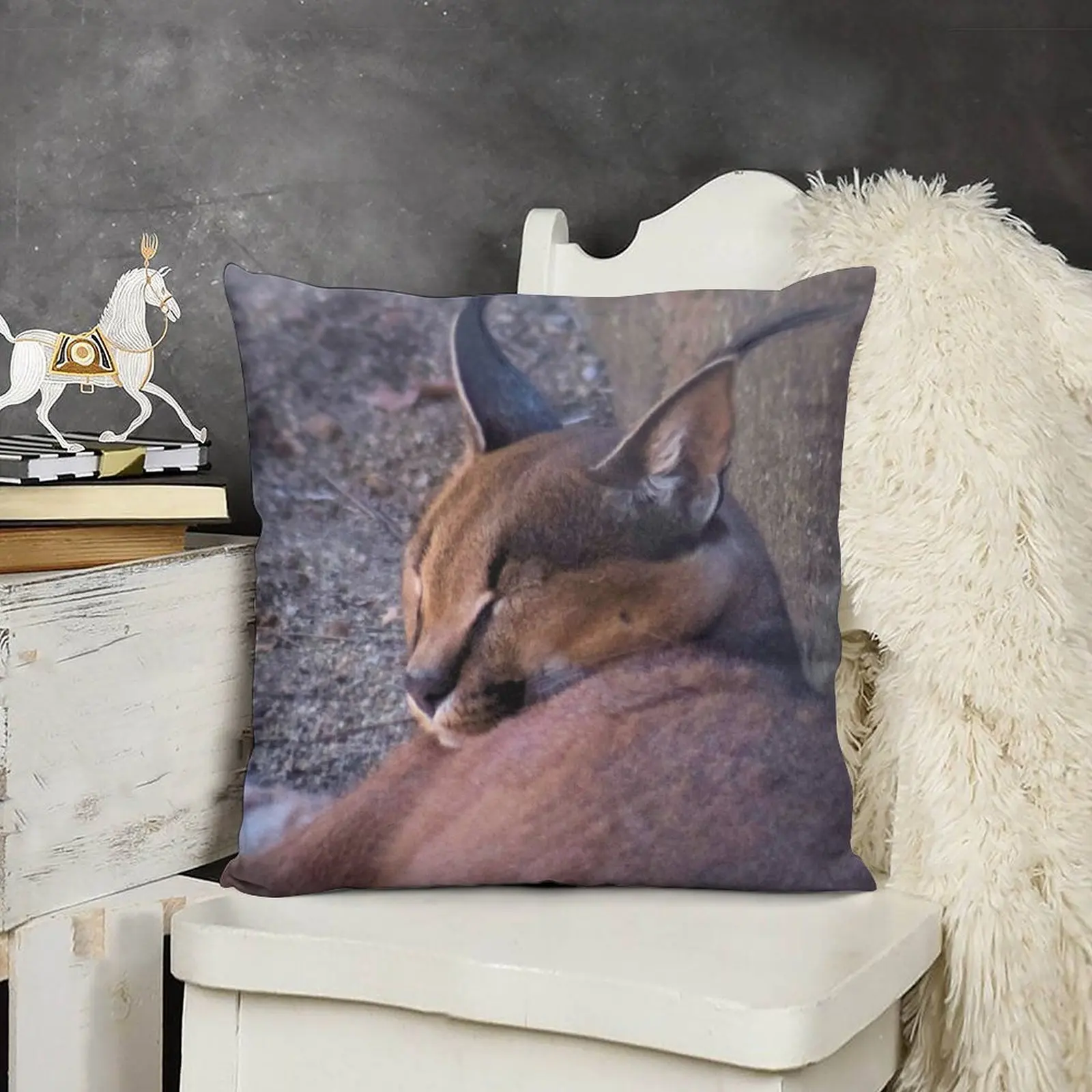 CARACAL - Felis caracal - 1125 views 2011/09/09 Throw Pillow Cushions Home Decor Decorative pillowcase bed pillows pillow
CARACAL - Felis caracal - 1125 views 2011/09/09 Throw Pillow Cushions Home Decor Decorative pillowcase bed pillows pillow