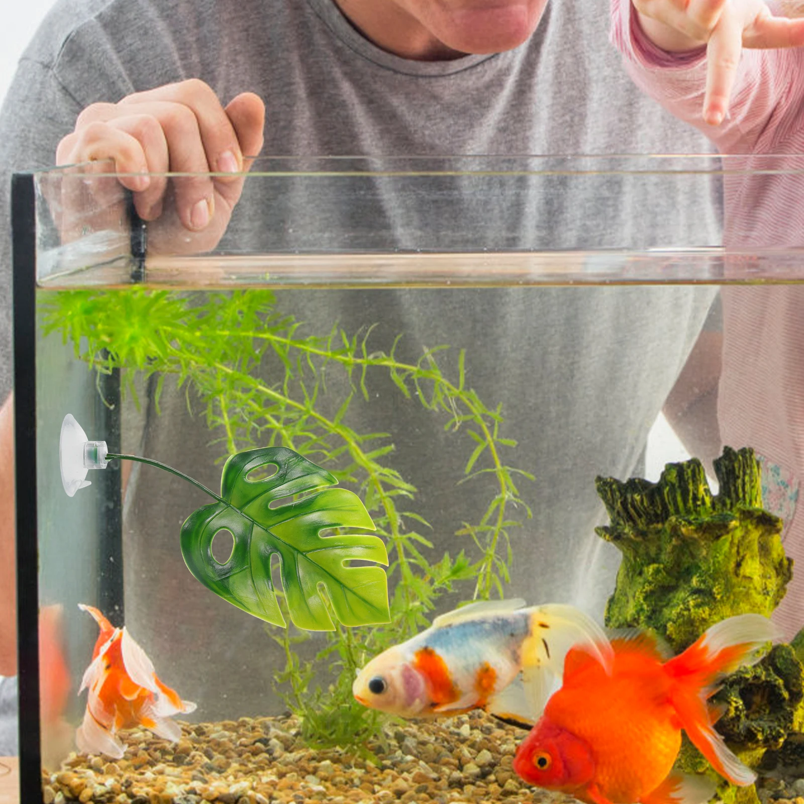 6pcs Artificial Leaves Decorative Betta Hammock Sucker Aquarium Tank Plastic Wear-resistant Leaf Household Fish Accessory Vivid
6pcs Artificial Leaves Decorative Betta Hammock Sucker Aquarium Tank Plastic Wear-resistant Leaf Household Fish Accessory Vivid