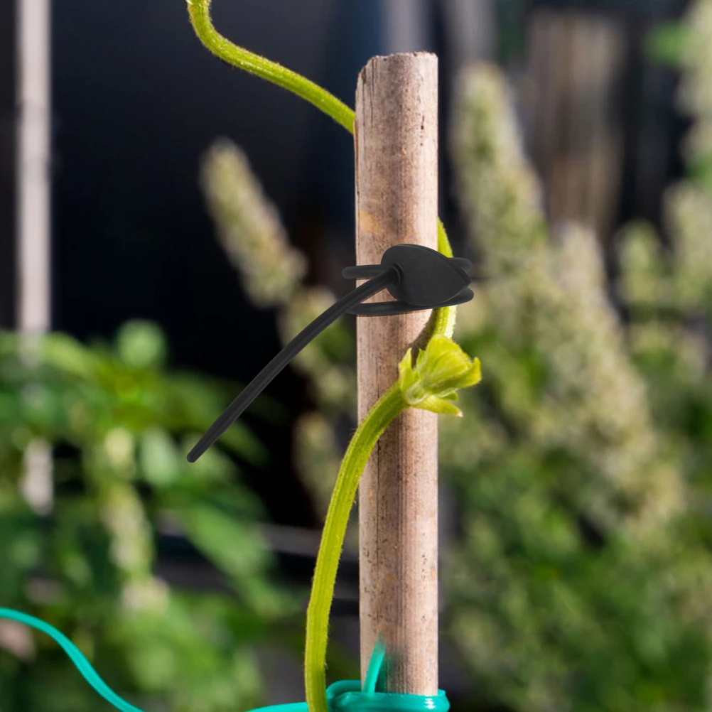 8 Pcs Leaf Cable Gardening Silicone Plant Greenhouse Vegetable Gardening Twist Ties Reusable Plant Ties Support
8 Pcs Leaf Cable Gardening Silicone Plant Greenhouse Vegetable Gardening Twist Ties Reusable Plant Ties Support