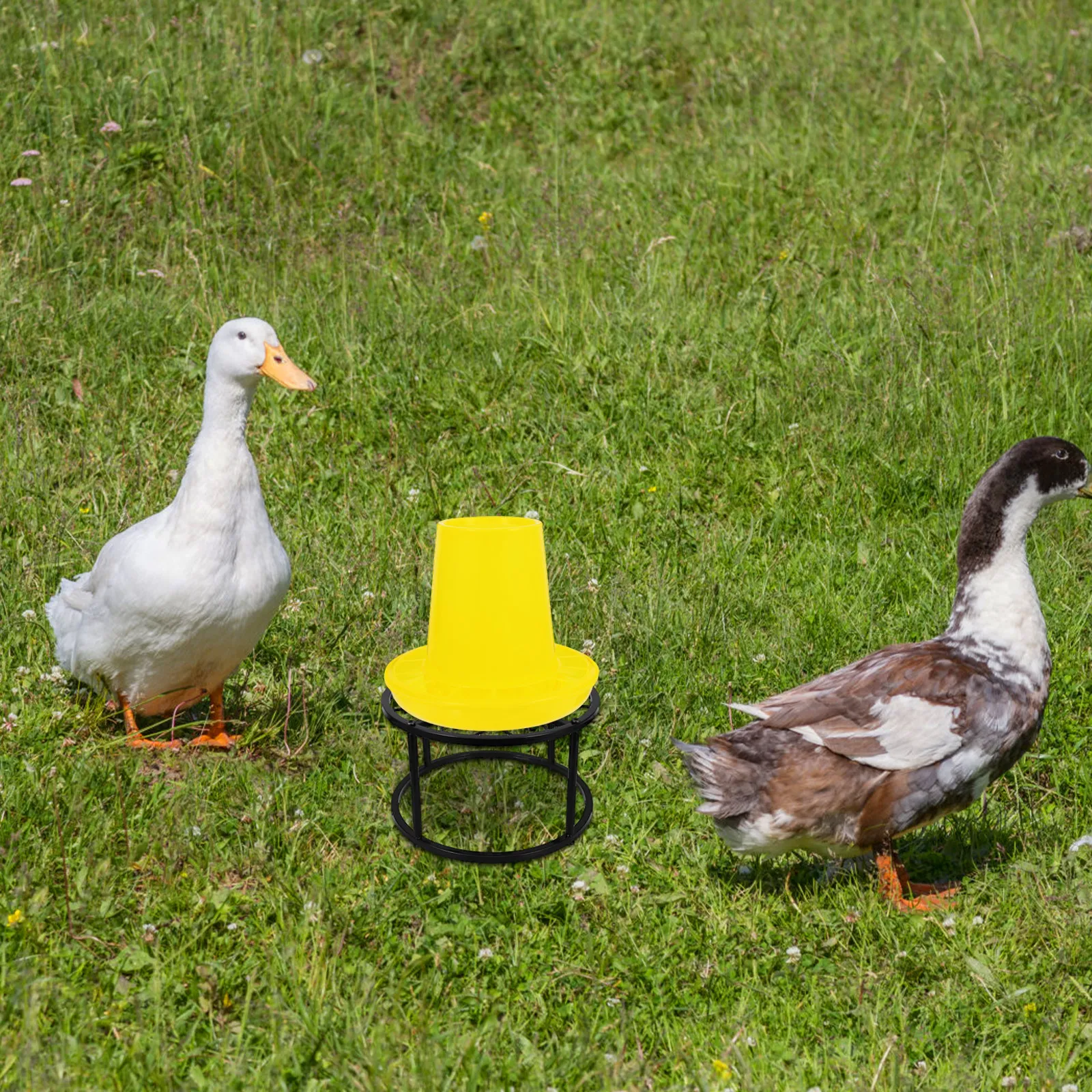 1Set Metal Chicken Feeder Stand Heavy-Duty Stable Base for Indoor Outdoor Coop Waterer Holder Poultry Feeding Bucket Rack
1Set Metal Chicken Feeder Stand Heavy-Duty Stable Base for Indoor Outdoor Coop Waterer Holder Poultry Feeding Bucket Rack