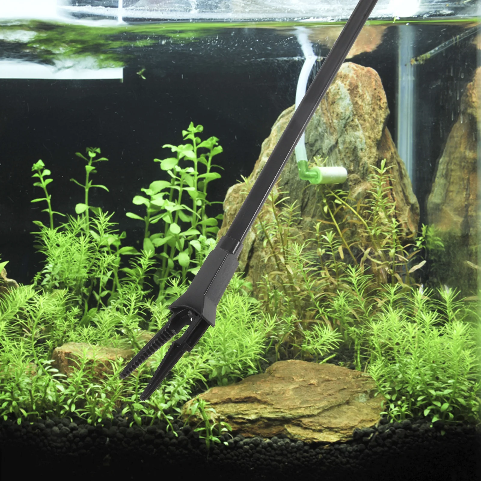 2Pcs Waterweed Clip Black Long Handle Aquarium Tweezers Fish Tank Cleaning Tool Aquatic Plant Cutter Maintenance Supplies
2Pcs Waterweed Clip Black Long Handle Aquarium Tweezers Fish Tank Cleaning Tool Aquatic Plant Cutter Maintenance Supplies