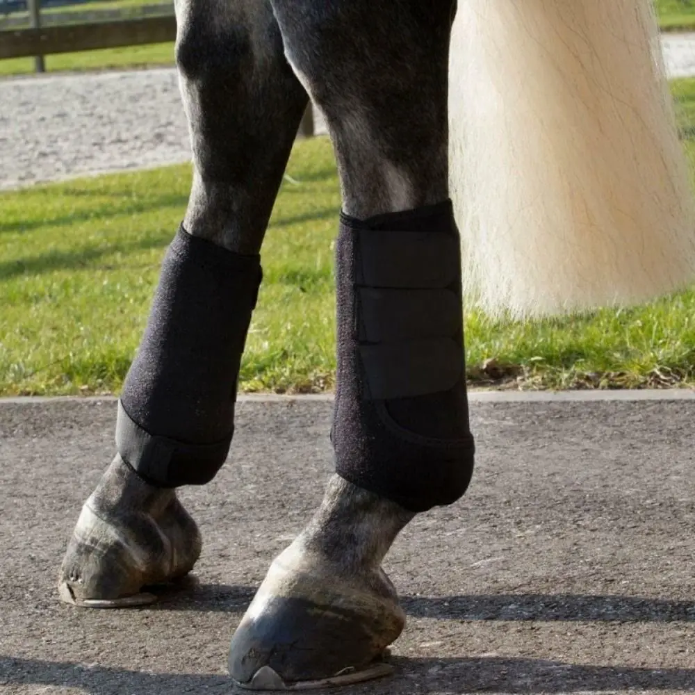 4pcs/set Colorful Horse Sport Boots Set Durable Breathable Medicine Brushing Boots Comfortable 3 Size Horse Leg Wraps
4pcs/set Colorful Horse Sport Boots Set Durable Breathable Medicine Brushing Boots Comfortable 3 Size Horse Leg Wraps