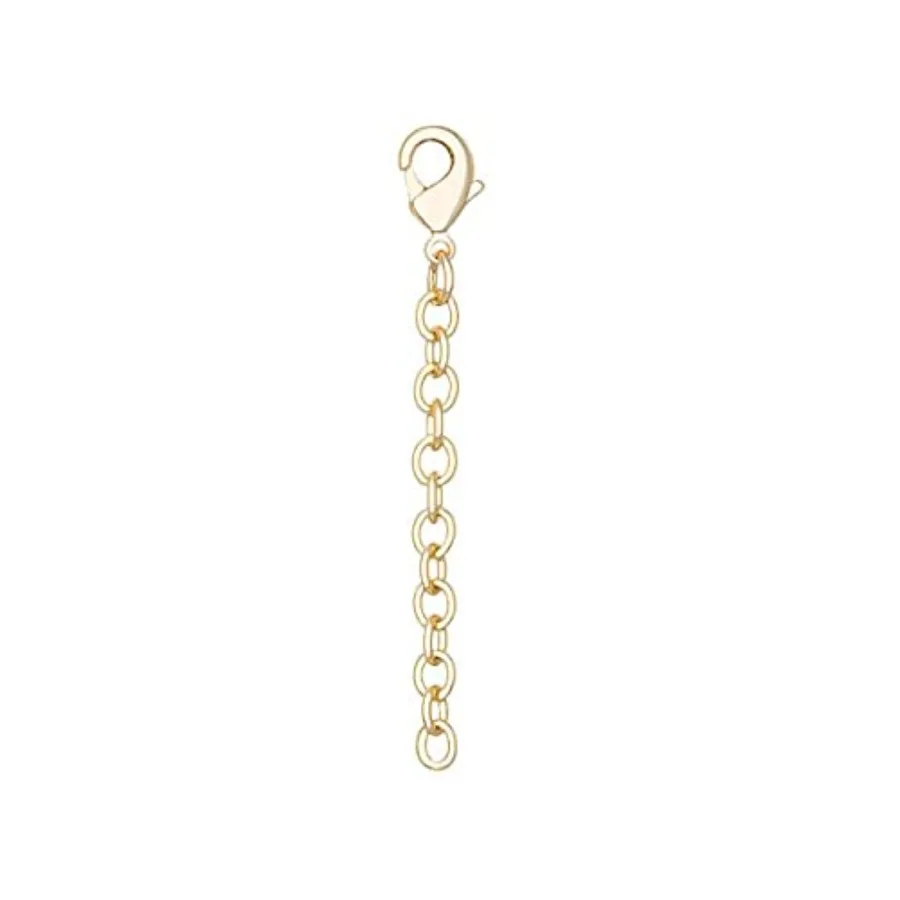 2" Necklace Extender for Women, Fine Jewelry, 14k -Plated, Lobster Clasp
2" Necklace Extender for Women, Fine Jewelry, 14k -Plated, Lobster Clasp