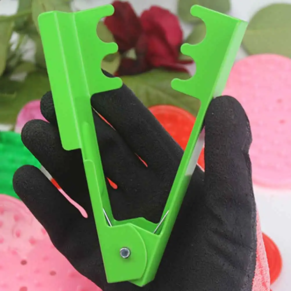 3pcs Rose Pliers Garden Tool Lightweight Durable Iron Material Spring Handle Pink Floral Stripper Removing Leaves
3pcs Rose Pliers Garden Tool Lightweight Durable Iron Material Spring Handle Pink Floral Stripper Removing Leaves
