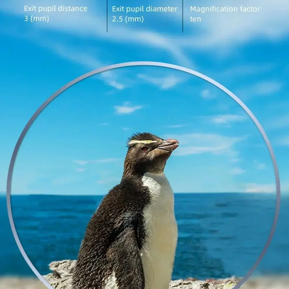 500X25 HD зум-бинокль дальнего действия 5000 м/50000 м портативный бинокулярный телескоп с фокусирующей ручкой высокой четкости
500X25 HD зум-бинокль дальнего действия 5000 м/50000 м портативный бинокулярный телескоп с фокусирующей ручкой высокой четкости