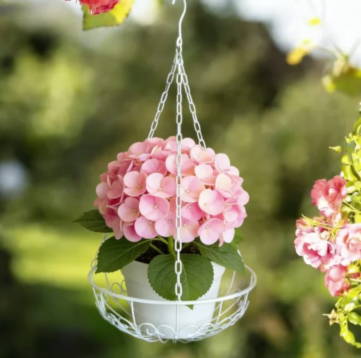 Hanging flower basket made from sturdy iron designed for wall mounting in For home garden office and hotel spaces
Hanging flower basket made from sturdy iron designed for wall mounting in For home garden office and hotel spaces