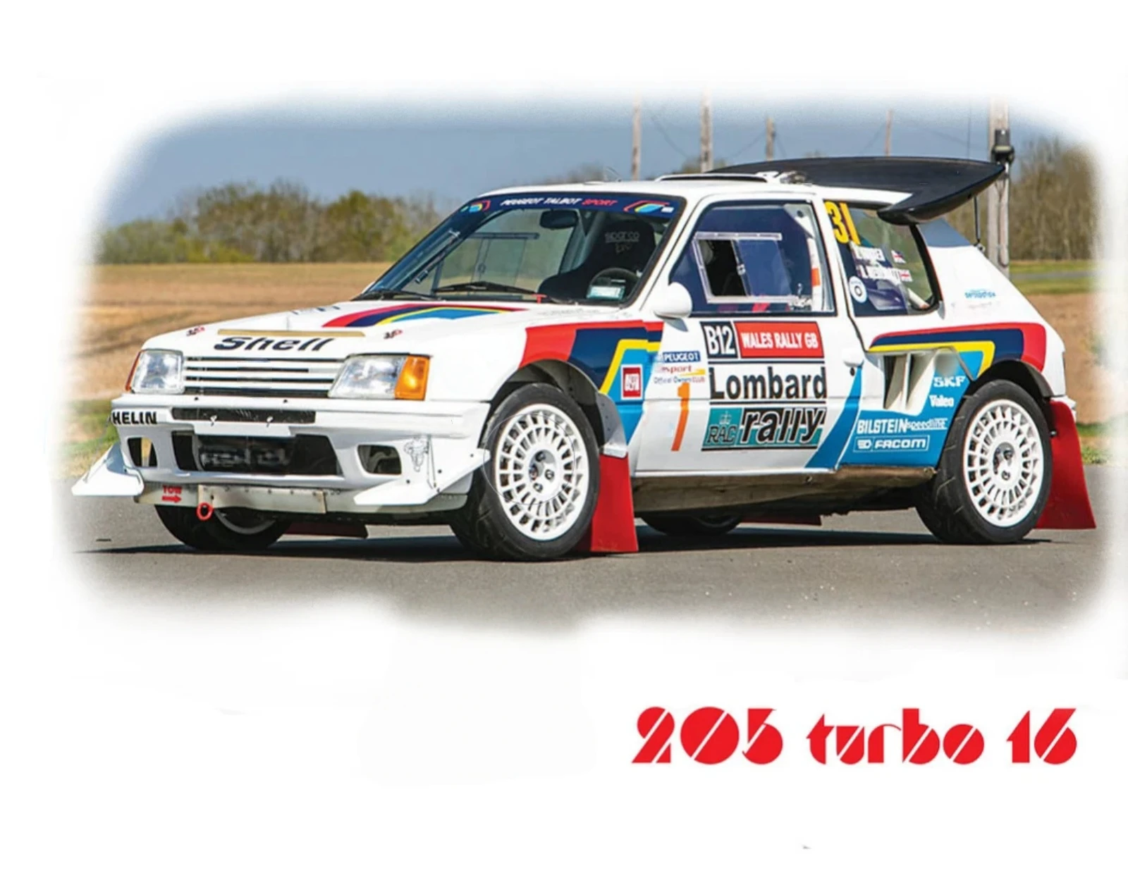 TC205 1/10 Peugot 205 T16 Rally Car polycarbonate Clear RC Body Shell (190mm Width)
TC205 1/10 Peugot 205 T16 Rally Car polycarbonate Clear RC Body Shell (190mm Width)