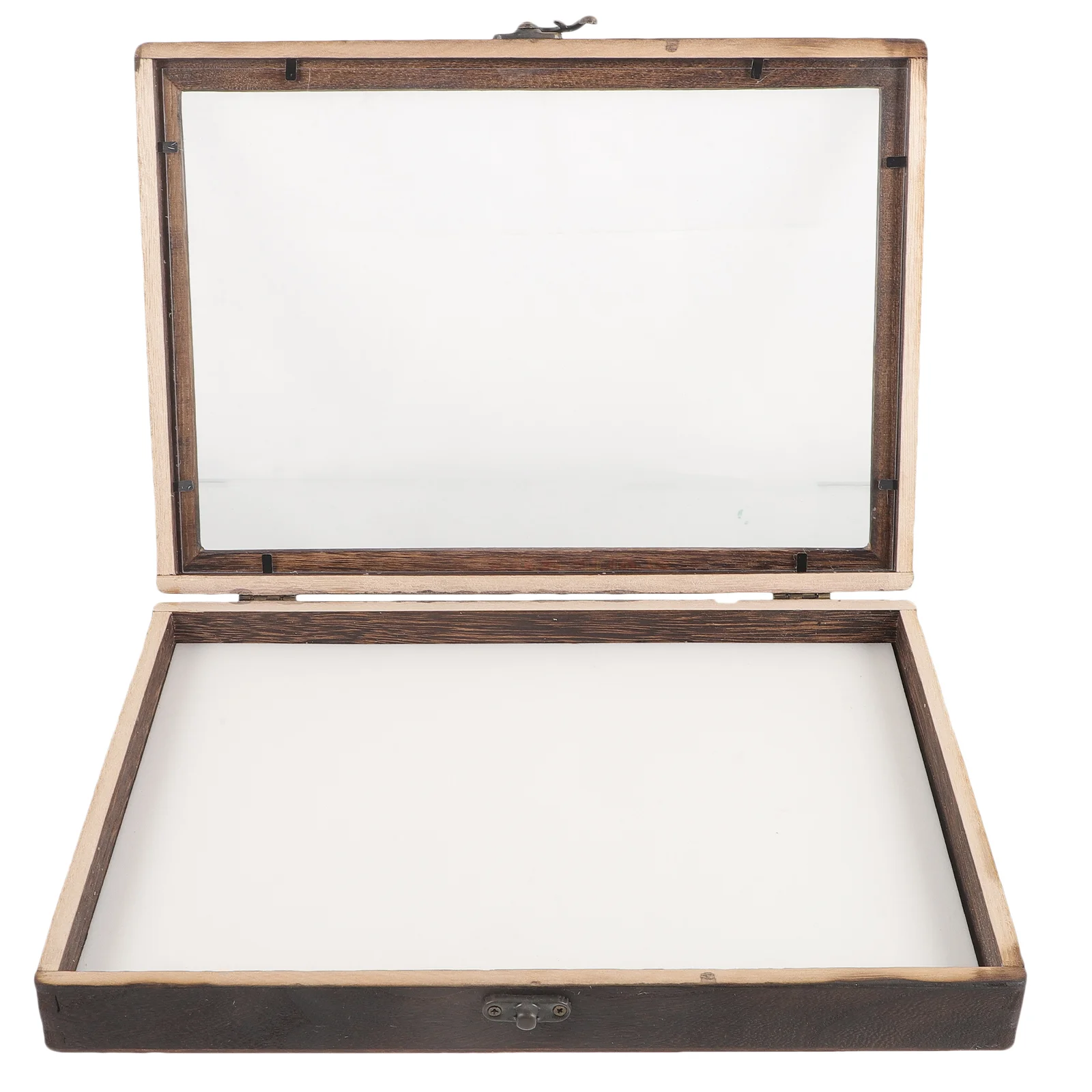 Display Case with Pinning Board Insect Box Wood Specimen Holder Dried Flowers Small Compartment Storage Boxes
Display Case with Pinning Board Insect Box Wood Specimen Holder Dried Flowers Small Compartment Storage Boxes