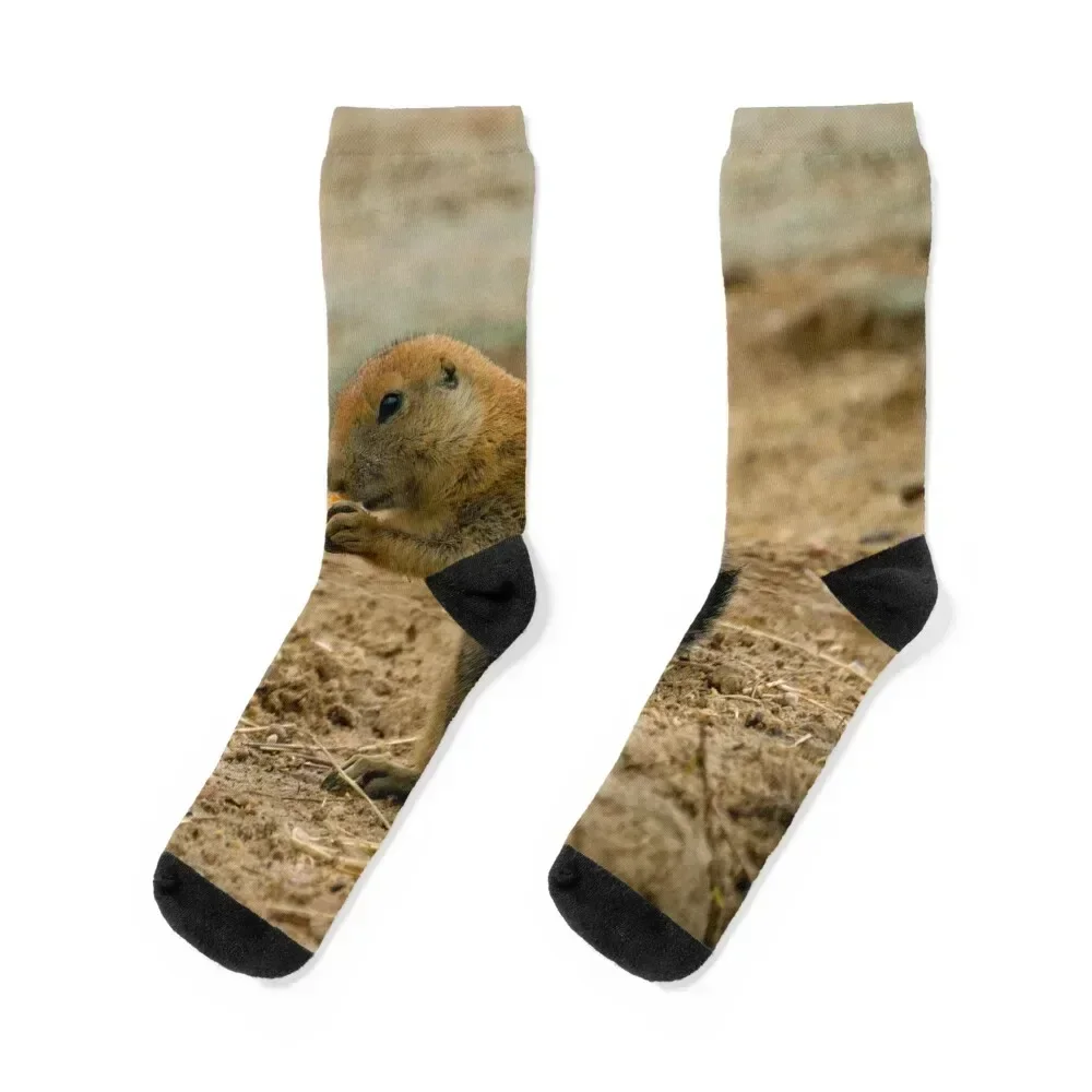 Prairie dog eating a carrot Socks sheer Lots Running Socks For Women Men's
Prairie dog eating a carrot Socks sheer Lots Running Socks For Women Men's