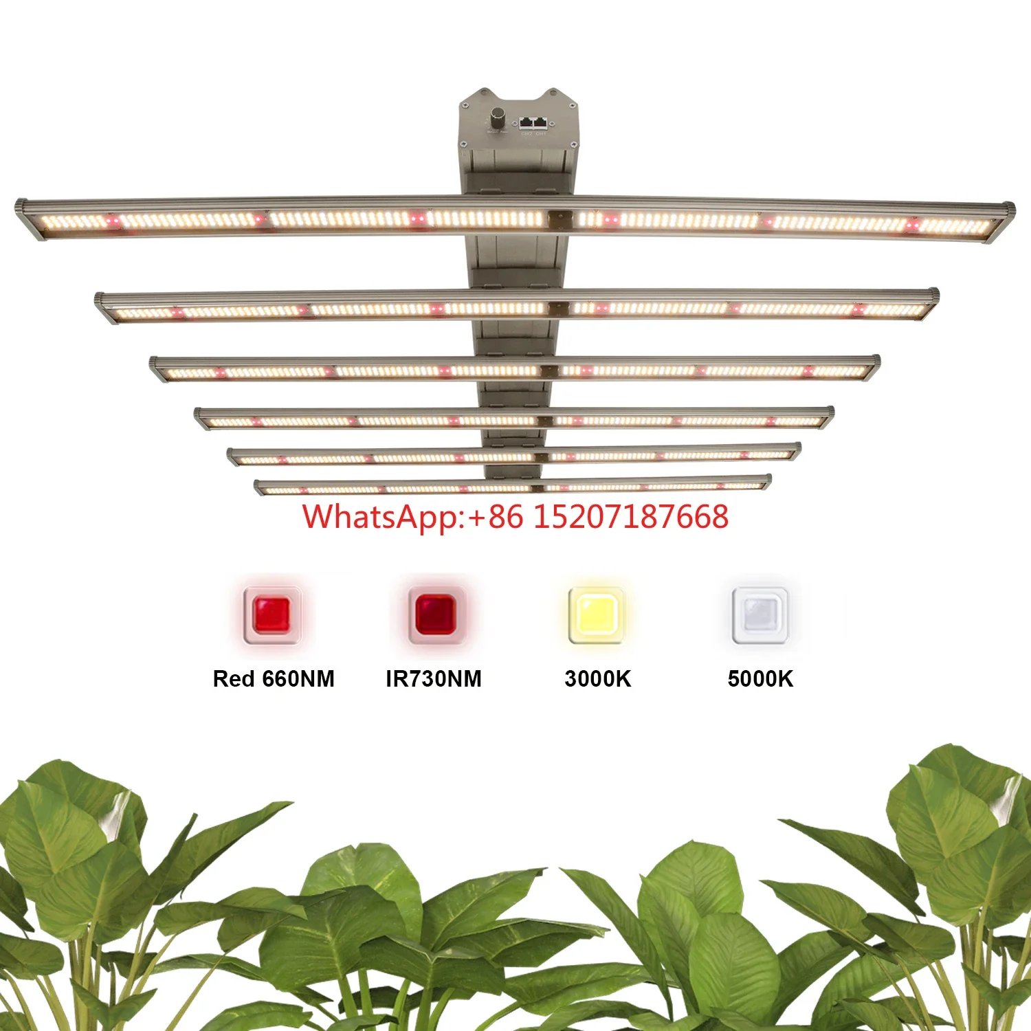 650W Dimmable LED Grow Light with Samsung LM281B+ Chip Full Spectrum Plant indoor Plants Veg Flower Seeds greenhouse hydroponics
650W Dimmable LED Grow Light with Samsung LM281B+ Chip Full Spectrum Plant indoor Plants Veg Flower Seeds greenhouse hydroponics
