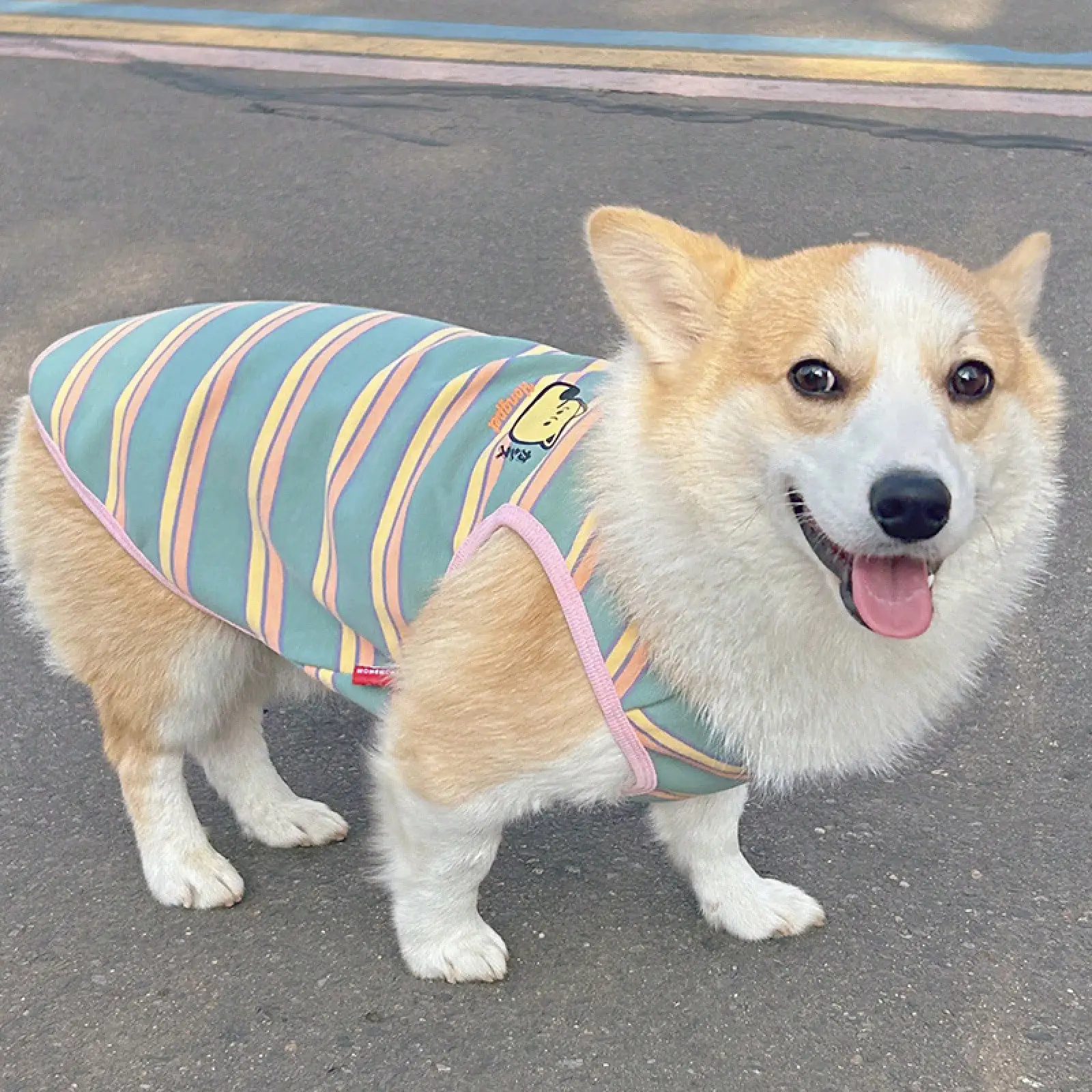 Corgi Shiba Inu Dog Clothes, Bichon Pet Vest, Teddy Four-Season Wear, Striped New Anti-Shedding Design
Corgi Shiba Inu Dog Clothes, Bichon Pet Vest, Teddy Four-Season Wear, Striped New Anti-Shedding Design