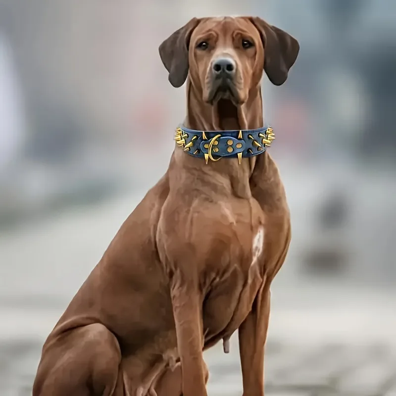 Dog Collar, Super-fine Anti-bite Rivet Neck Ring, Powerful Pointed Nail Decoration Wolf Dog Neck Cover
Dog Collar, Super-fine Anti-bite Rivet Neck Ring, Powerful Pointed Nail Decoration Wolf Dog Neck Cover