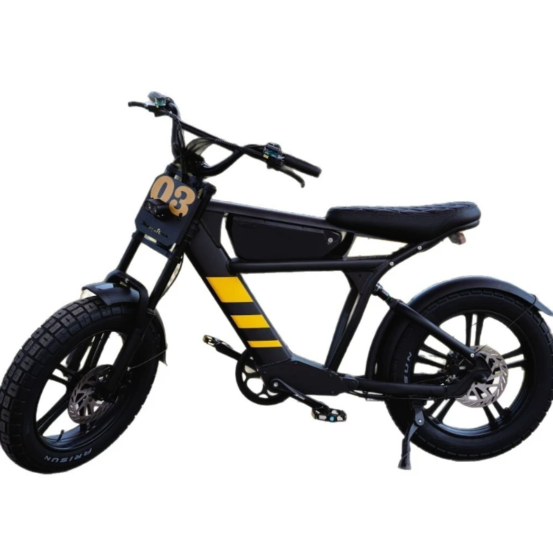 Electric mountain bike electric bike 750 watts mountain
Electric mountain bike electric bike 750 watts mountain