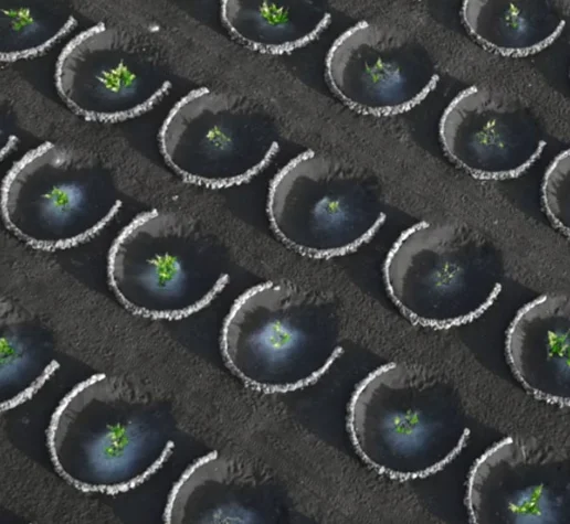 2025 Newest Professional Portable 755nm 808nm 1064nm Diode Laser 3500w Permanent Hair Remo Machine
2025 Newest Professional Portable 755nm 808nm 1064nm Diode Laser 3500w Permanent Hair Remo Machine