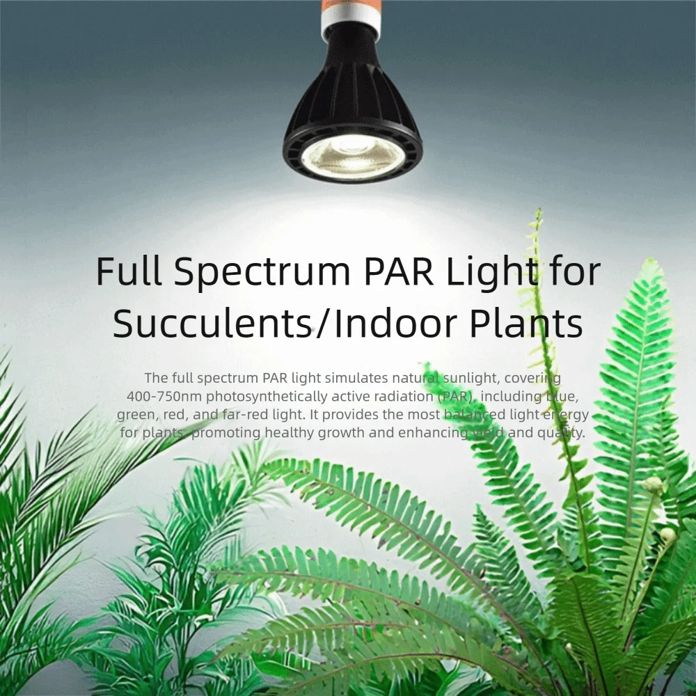 18W Power Full Spectrum LED Grow Light Black Body Cold White Hydroponics Lamp Super LED Warm White Recessed Down Light
18W Power Full Spectrum LED Grow Light Black Body Cold White Hydroponics Lamp Super LED Warm White Recessed Down Light