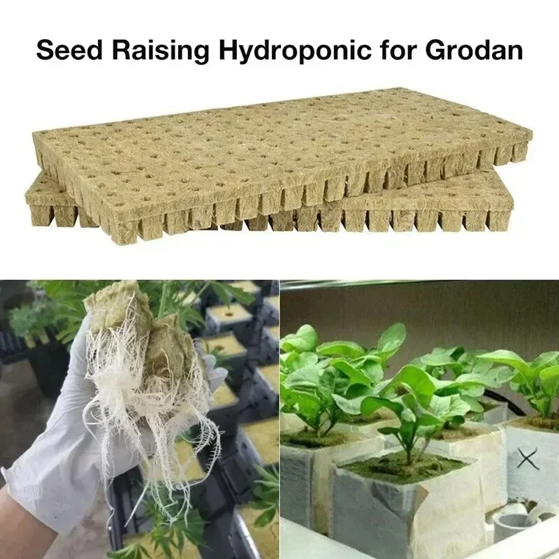 50pcs 25x25x25mm Stonewool Hydroponic Grow Media Cubes Plant Cubes Soilless Substrate Seeded Rock Wool Plug Seedling Block
50pcs 25x25x25mm Stonewool Hydroponic Grow Media Cubes Plant Cubes Soilless Substrate Seeded Rock Wool Plug Seedling Block