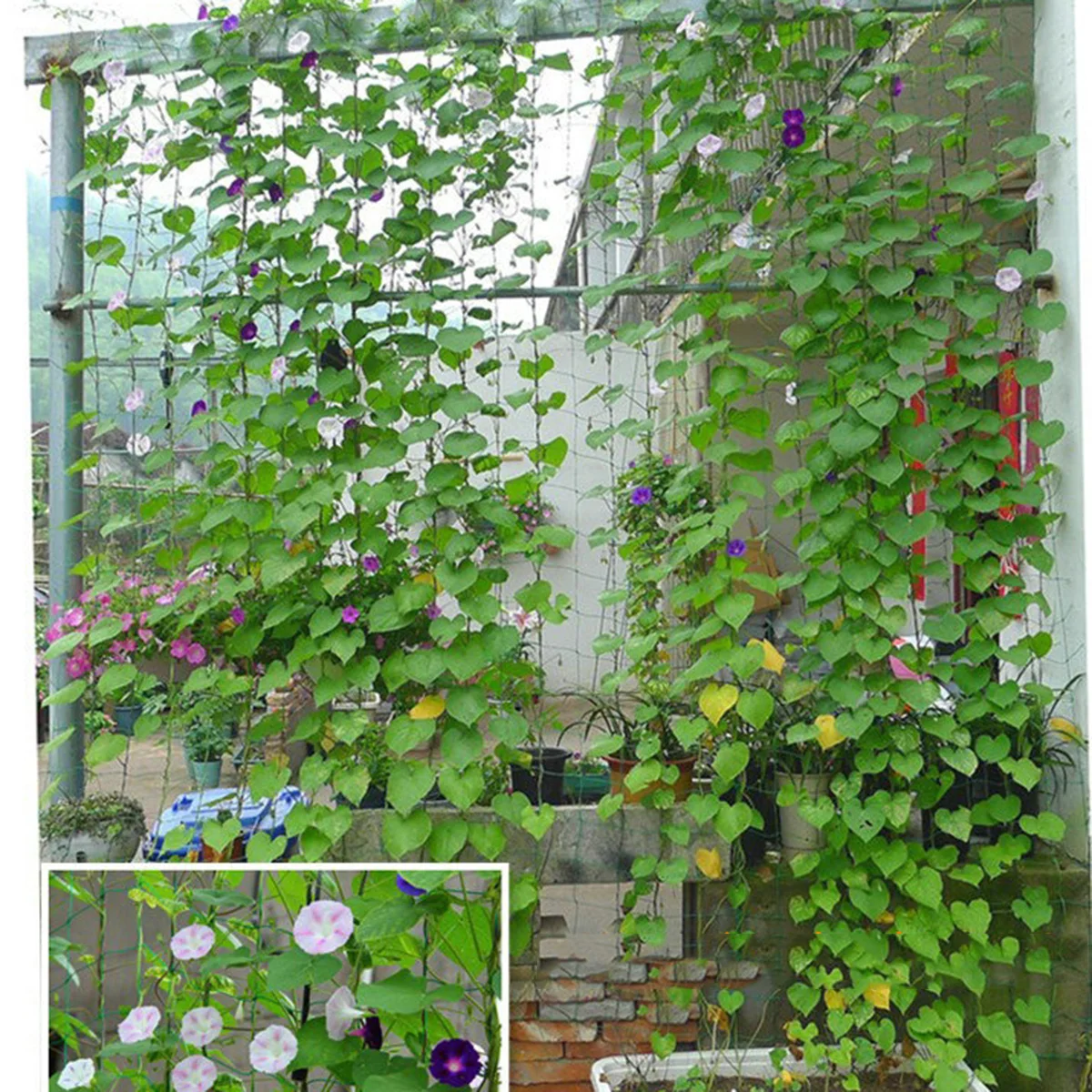 3 Pcs Climbing Plant Net Green Heavy Duty Nylon Keeps Harvest Off Ground Away Pests Rot Vining Vegetables Fruits Flowers
3 Pcs Climbing Plant Net Green Heavy Duty Nylon Keeps Harvest Off Ground Away Pests Rot Vining Vegetables Fruits Flowers