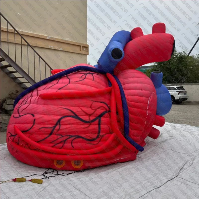 Large Inflatable Human Heart Model Medical Science Exhibition Props, Medical Inflatable Organs, Teaching Props
Large Inflatable Human Heart Model Medical Science Exhibition Props, Medical Inflatable Organs, Teaching Props